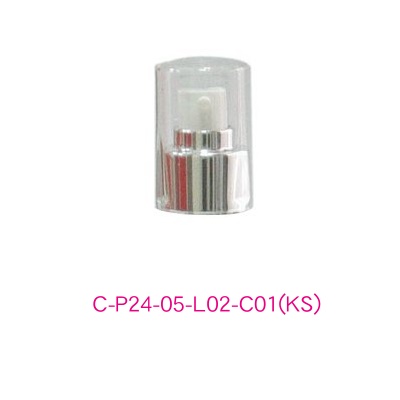 C-P24-05-L02-C01(KS)
